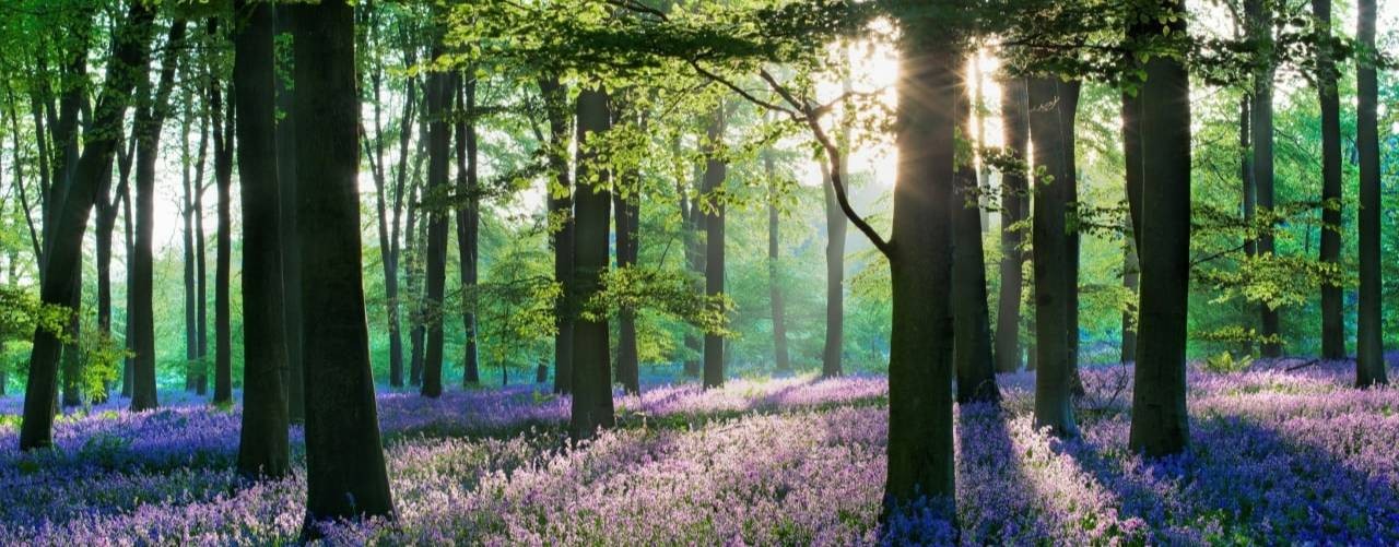 Галина Чумикова. ПРОГУЛКИ с ПСИХОЛОГОМ