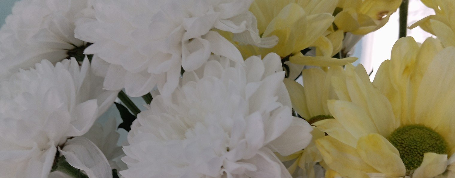 Играй и Зарабатывай