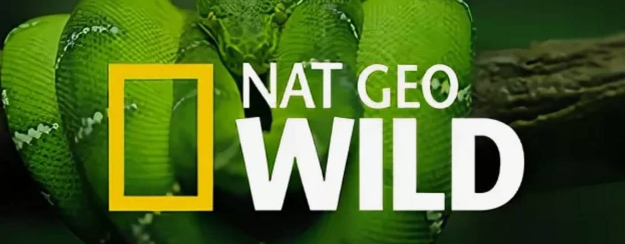 Nat Geo Wild Дикая Природа