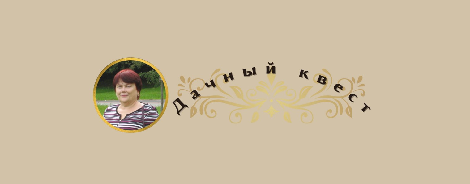 Дачный квест с нуля