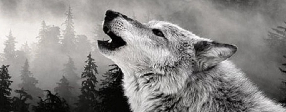 ЕВРО НА РОТ