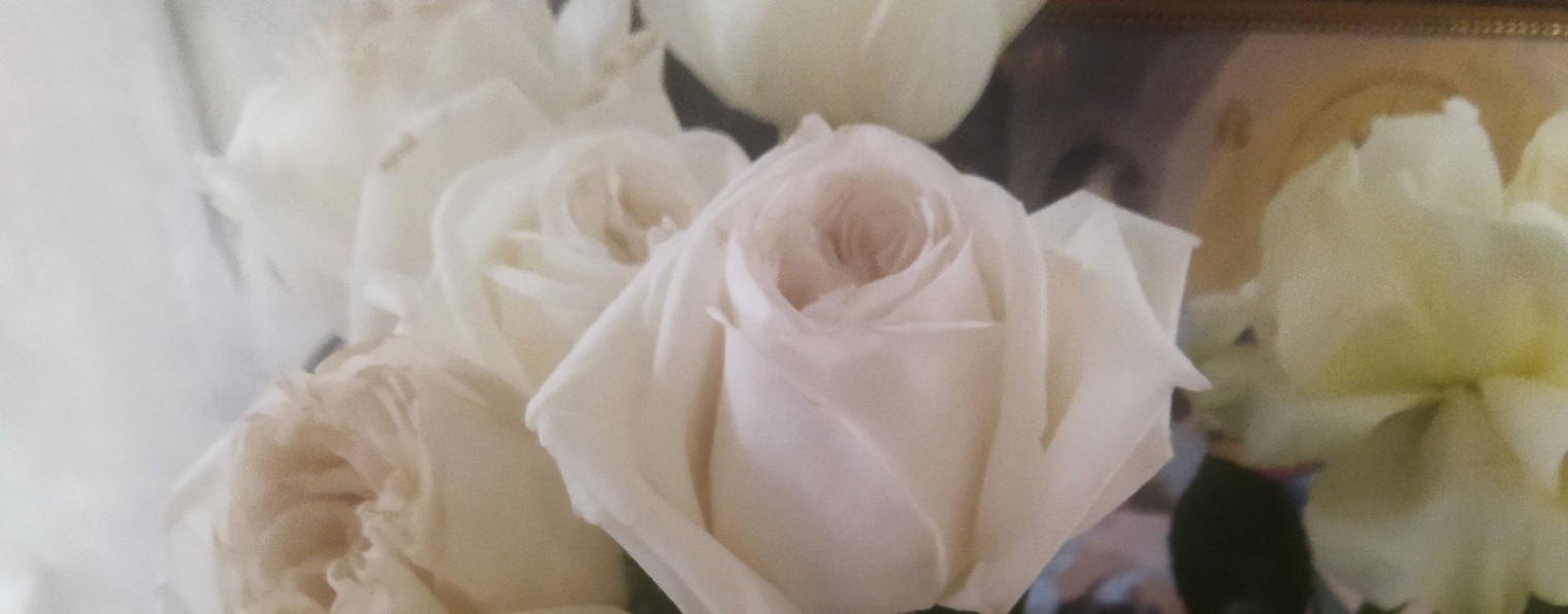 Ольга Коп    💯 Ассорти