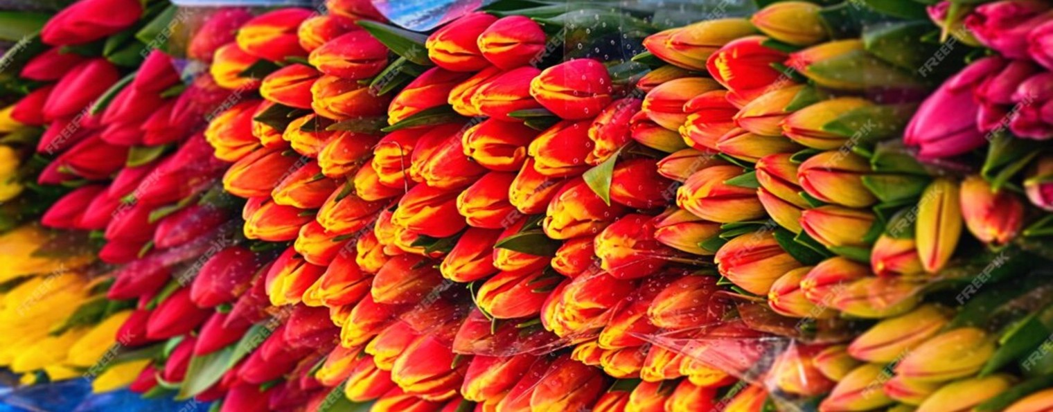 ЗЕЛЕНЫЙ ОПТ