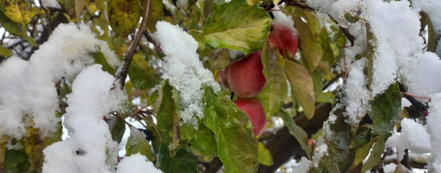 channel52166694 Жизнь в станице.