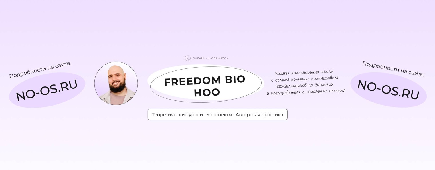 Ростислав Freedom X НОО