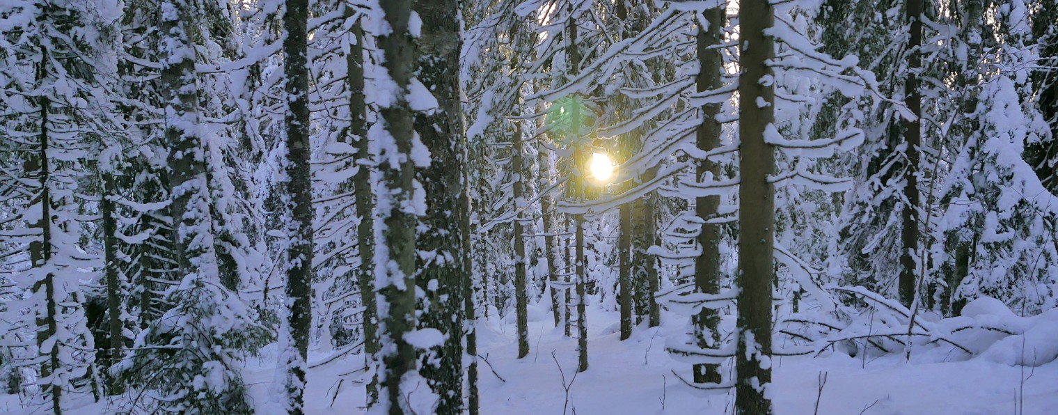 Башмак Башмаков / GOLd@Multimedia