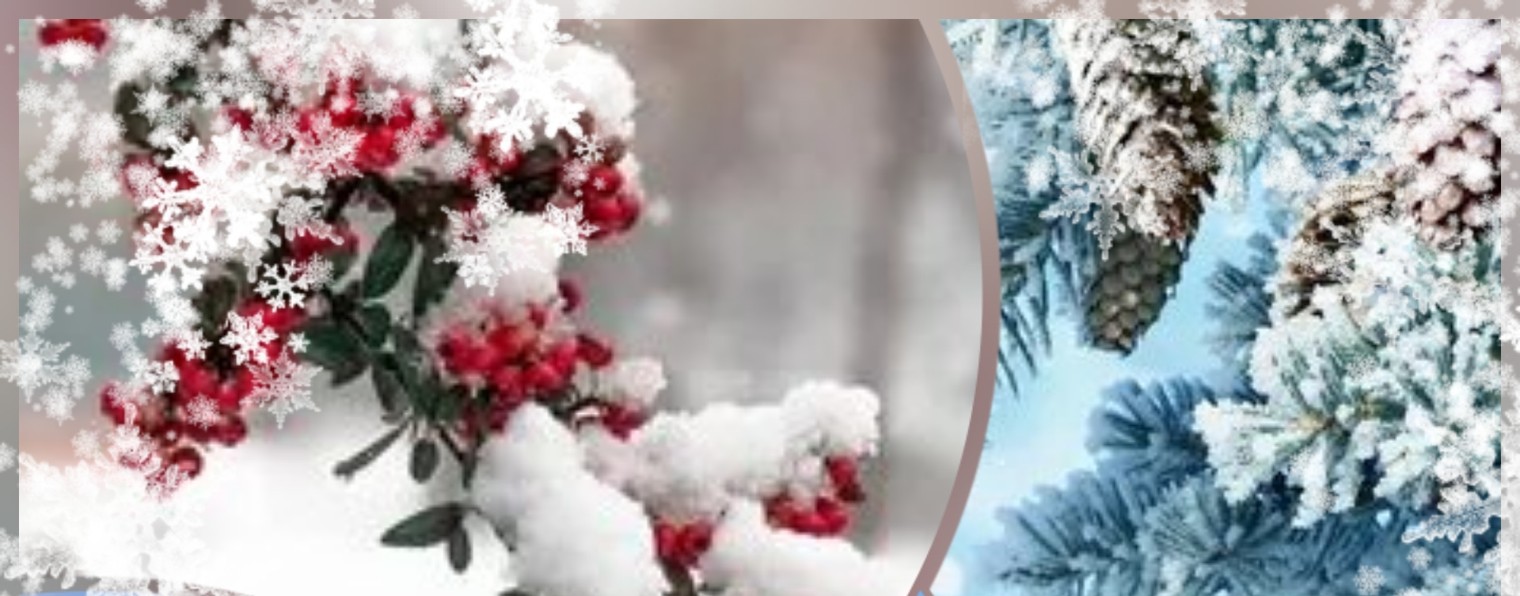 Наумова Екатерина