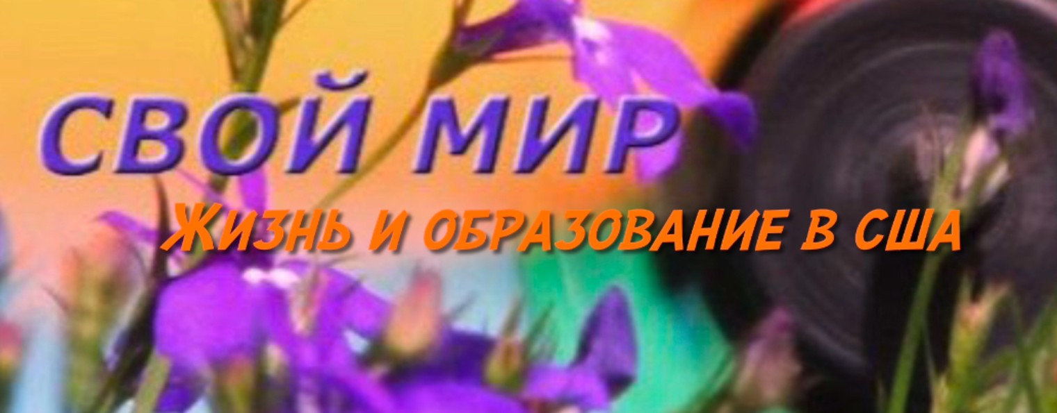 Свой Мир