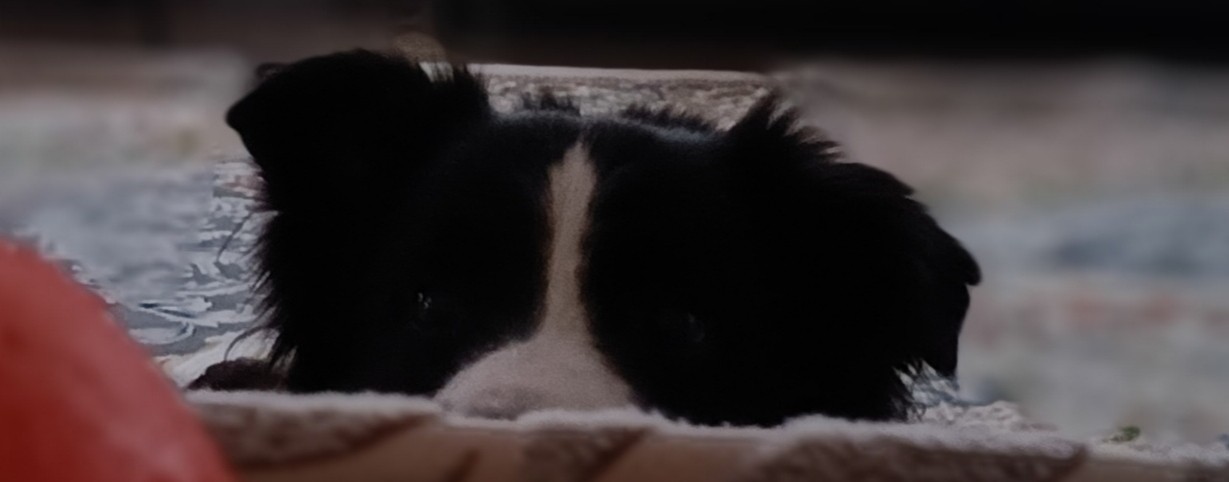 Бах Михалыч