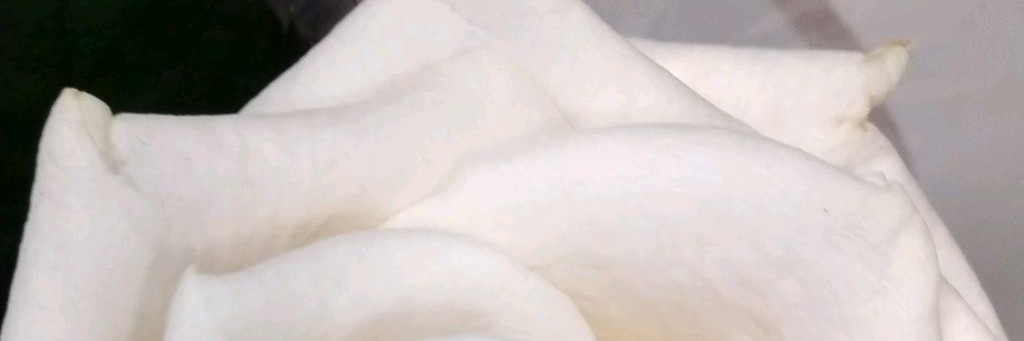 Блог Умедки