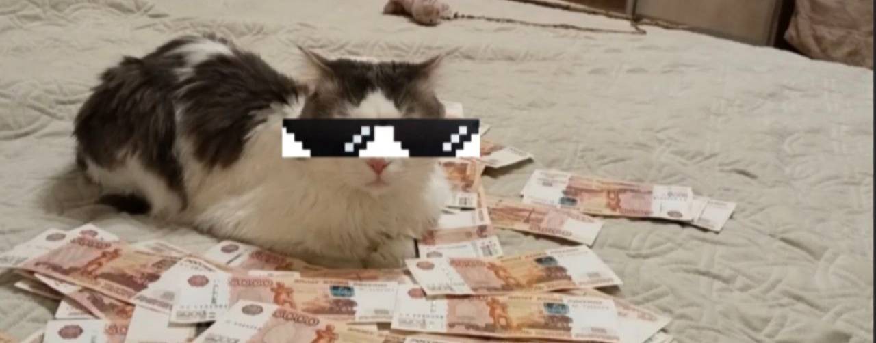 Пушок Rutubeⁱˢ ᵃᵇˢᵒˡᵘᵗᵉ😽