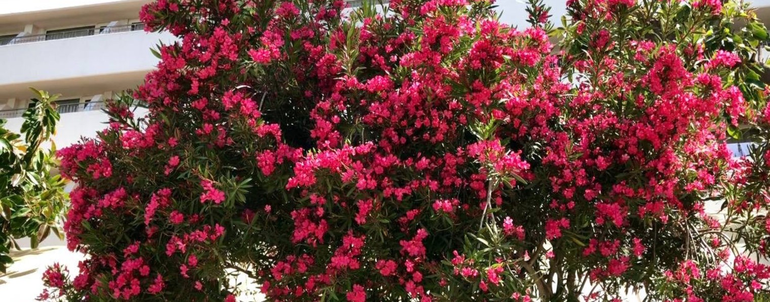 Аня: в поисках скидок