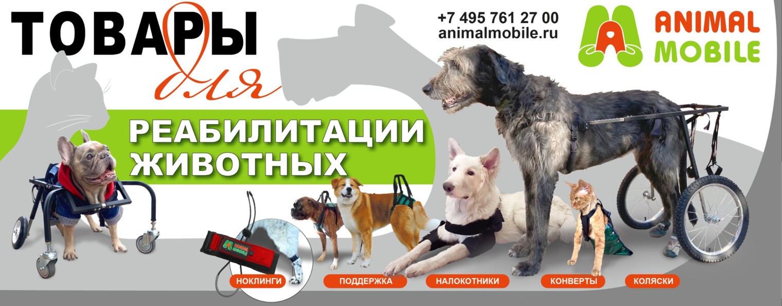 Animal Mobile