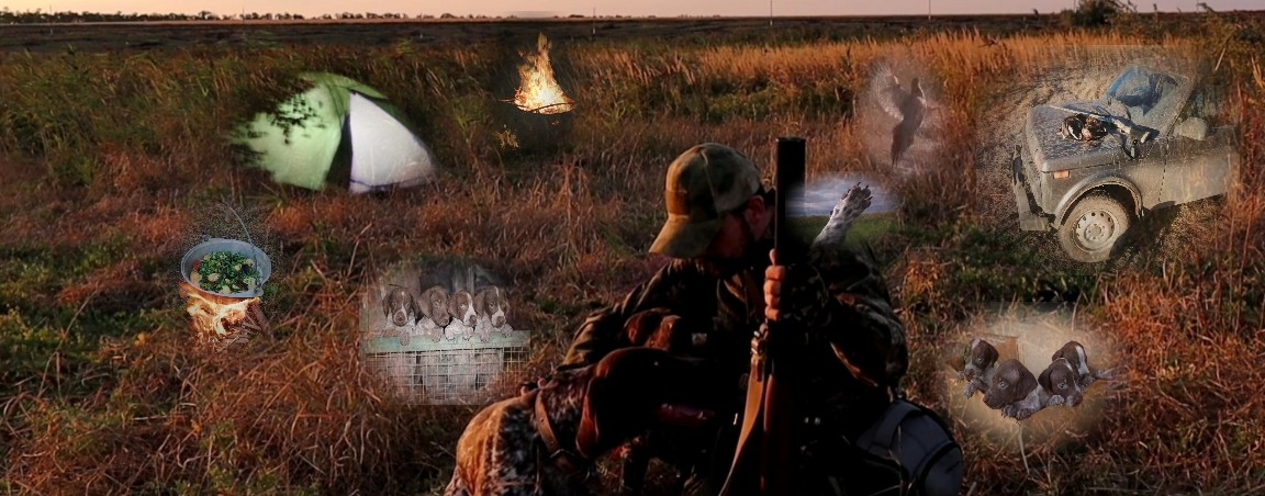 КУРЦХААРЫ ИЗ КОРОБКИ