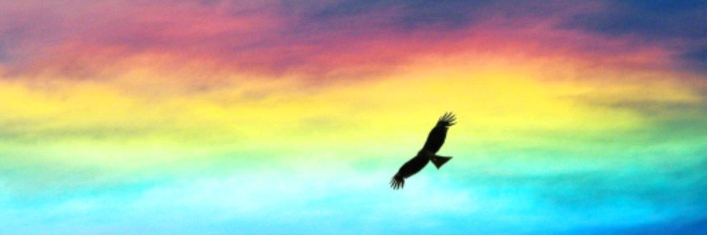 ПИСЬМА С ТОГО СВЕТА. СВЕТЛАНА САМОХИНА.