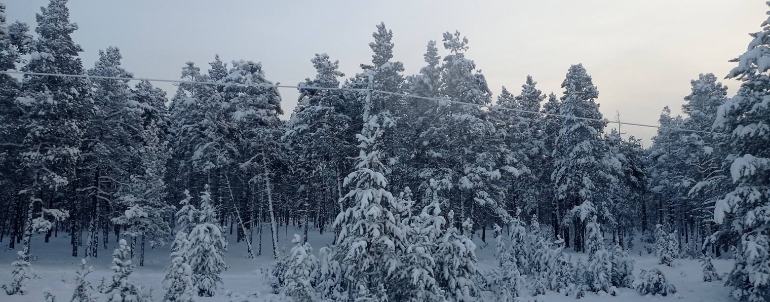 Николай Артемьев