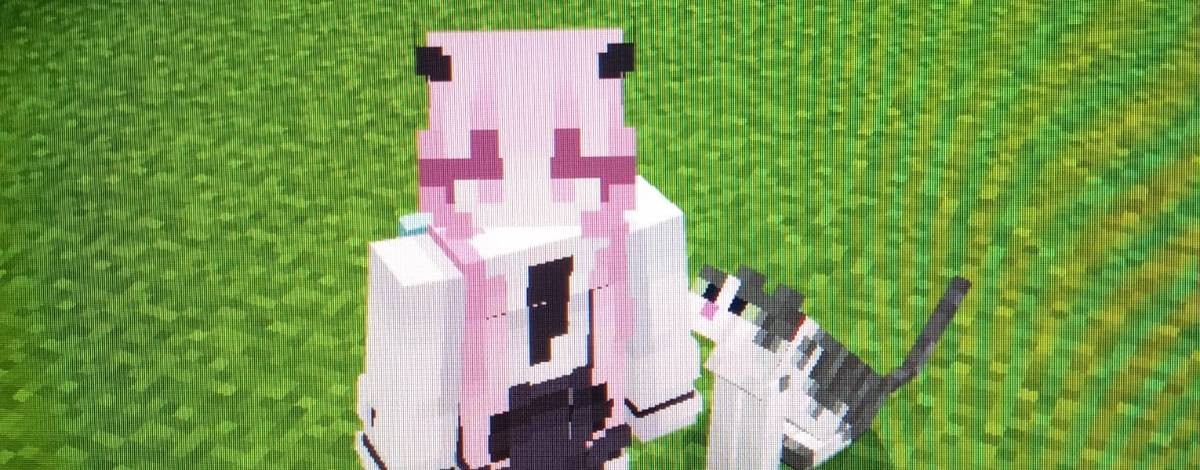 Lera_cat