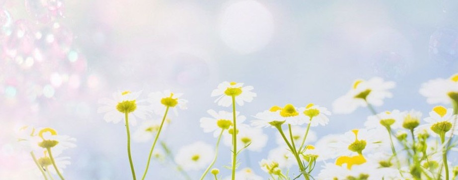 Василиса 💅