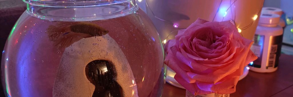 🌀В ПОТОКЕ⚡️