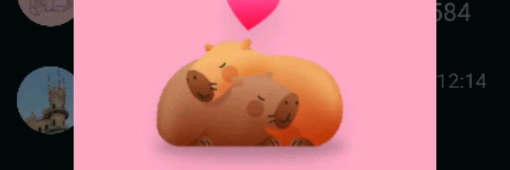 Марьяна ☑️