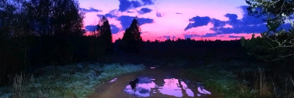 EmpireST1 Offroad 37