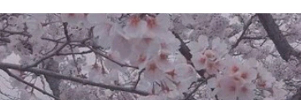 🫶☘️Awatar Nika☘️🫶