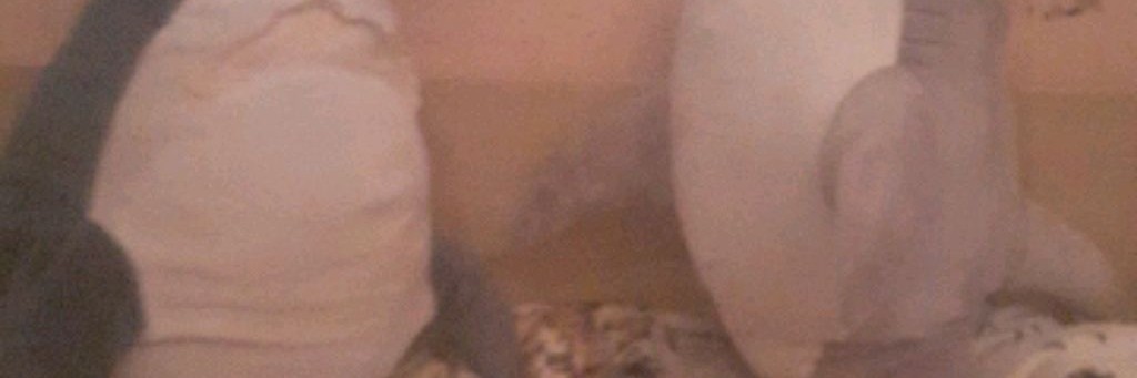 Rukens Петушок