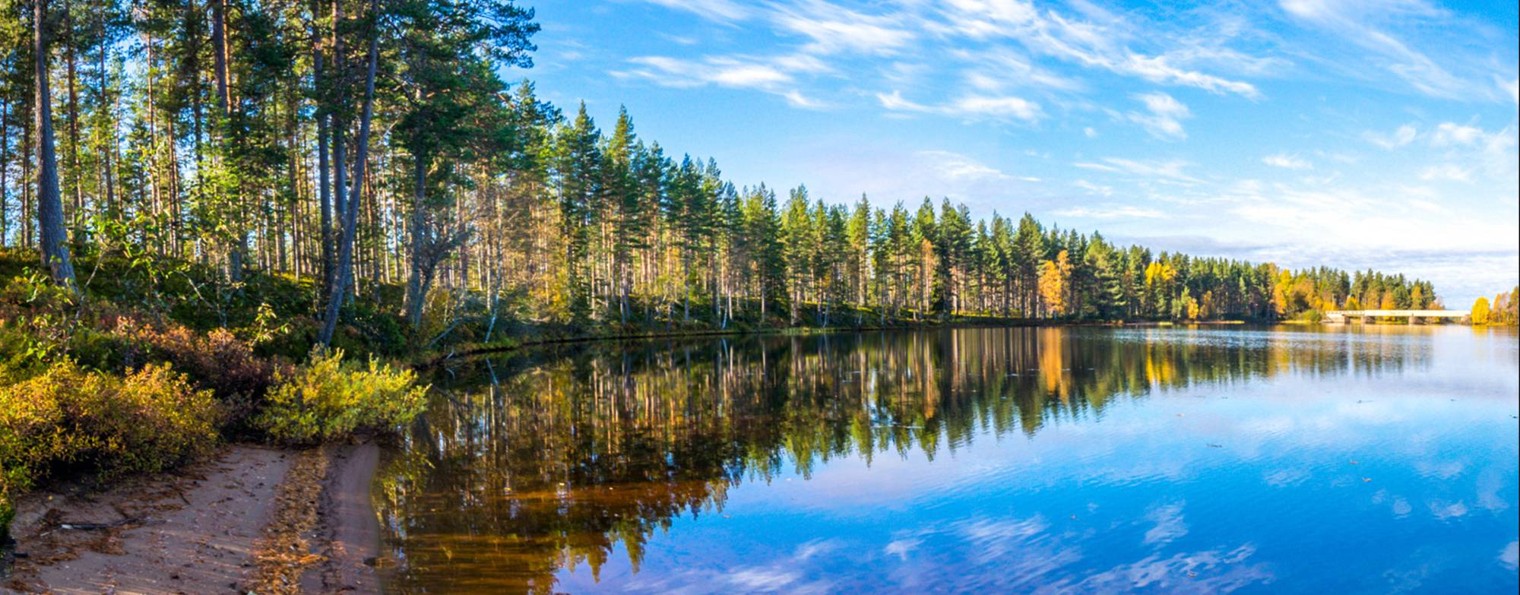 Карел в столице