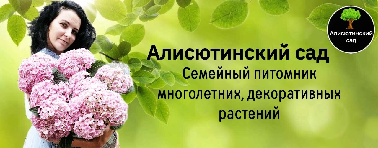 Алисютинский сад
