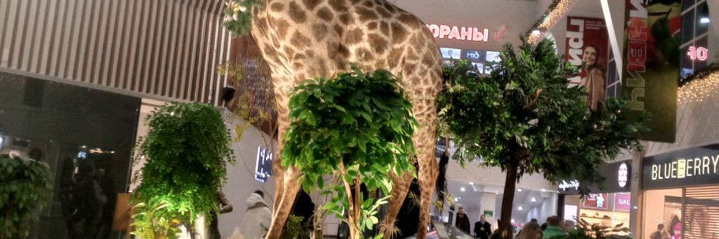 Обзоры Местности Урал