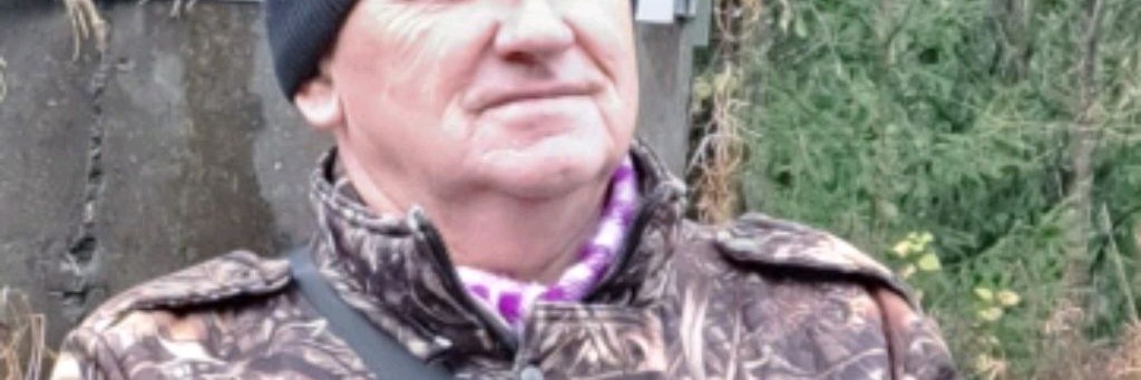 Пасека у дома в Подмосковье