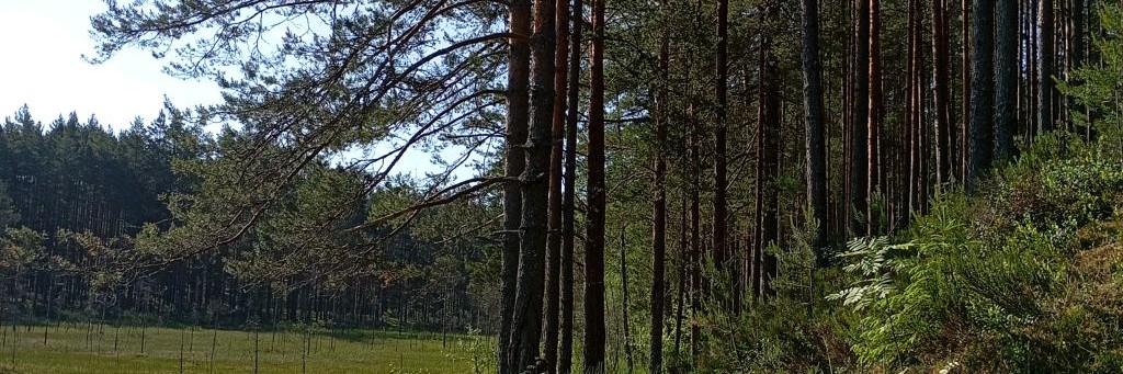 Сам себе турист