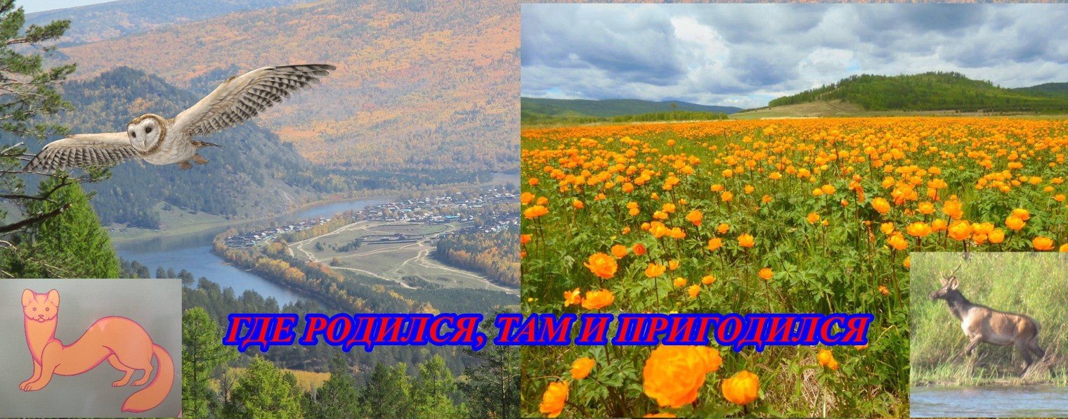 На берегах таёжного Чикоя