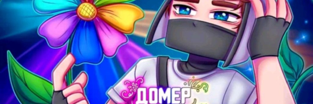 Domer