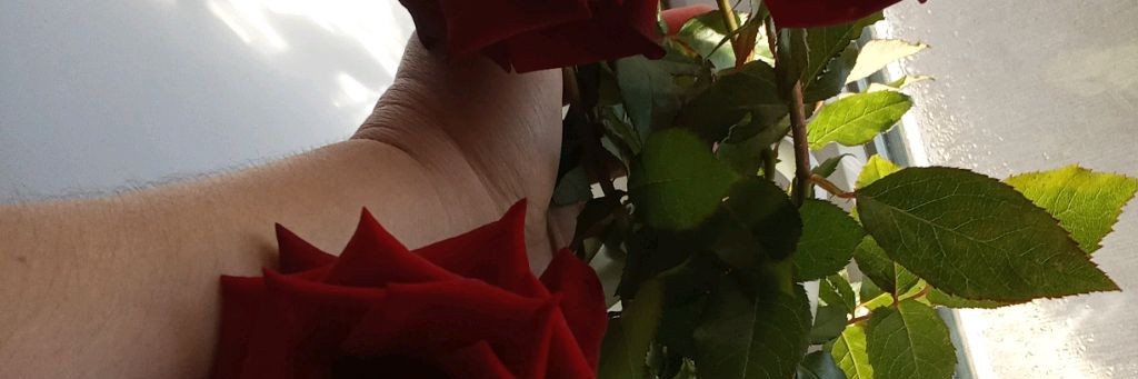 Юлечка Бьюти