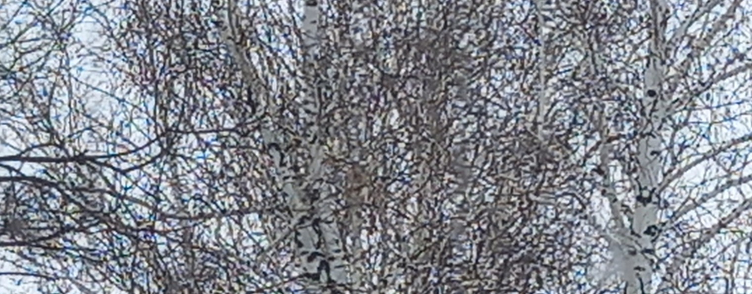 channel40975862