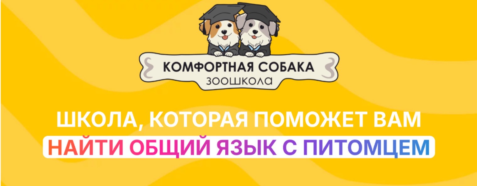 comdog.ru