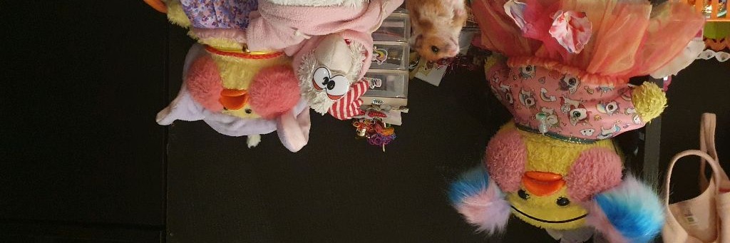 АЛИСА, ПЕСТРУШКА, УТЯ, ХОМА, МИЛКА