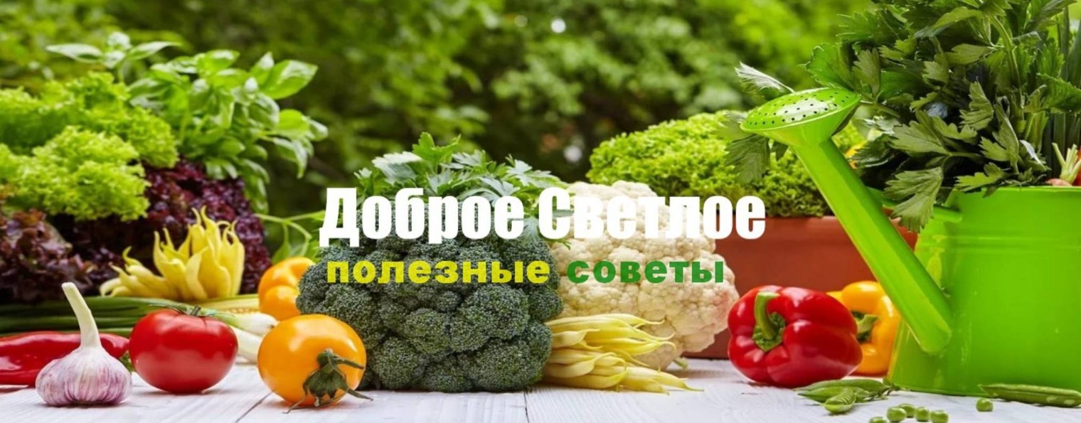 Доброе Светлое-Полезные советы про...