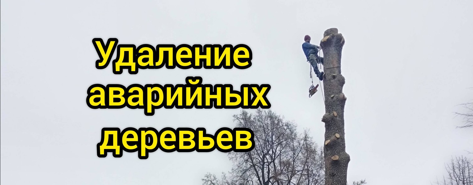Спил  опасных деревьев Расчистка участка