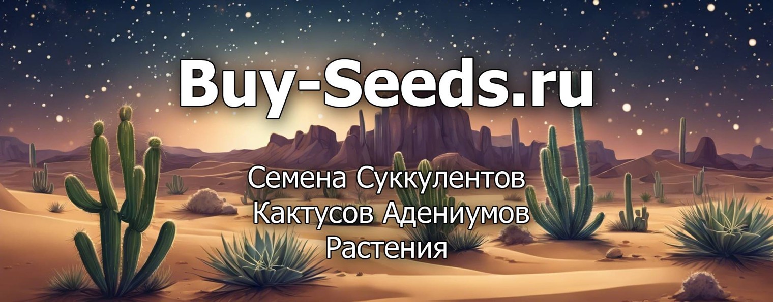 🌵Buy-Seeds.ru🌵