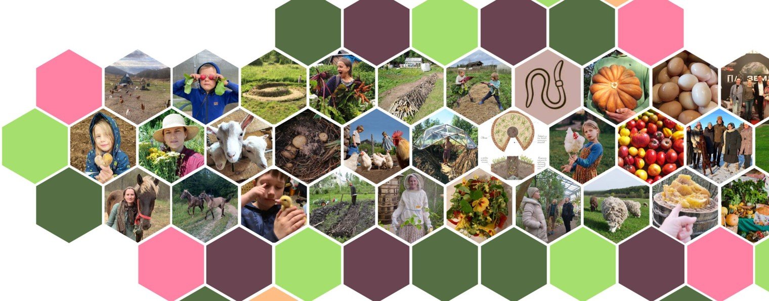 Клуб практиков пермакультуры