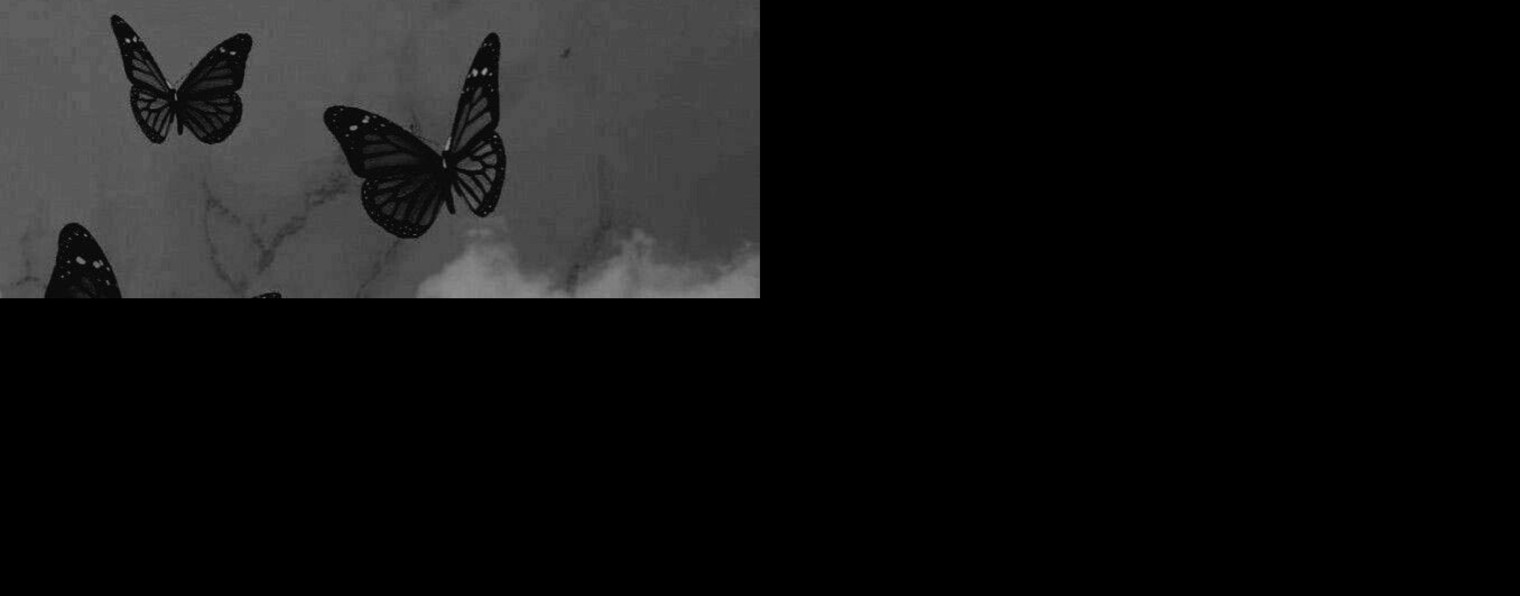 Котик###🖤🤍🖤
