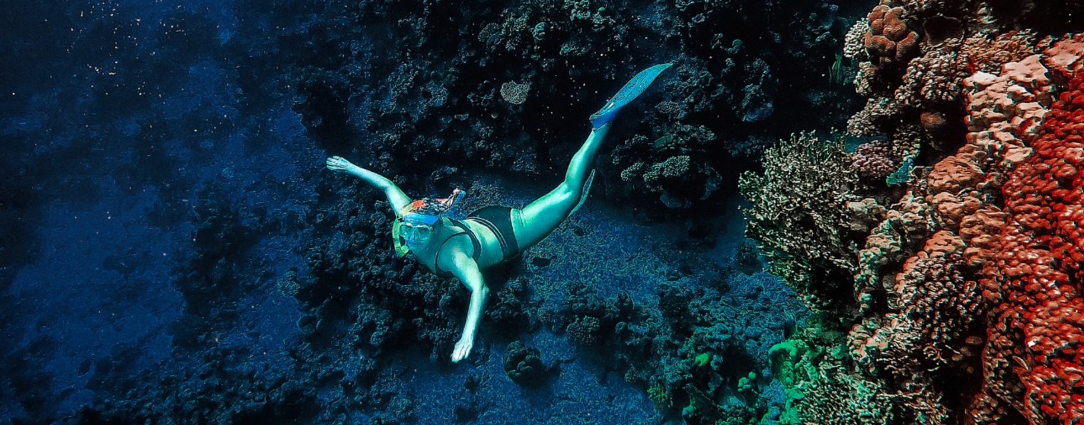 BISVETAND- фотограф- Светлана Былова