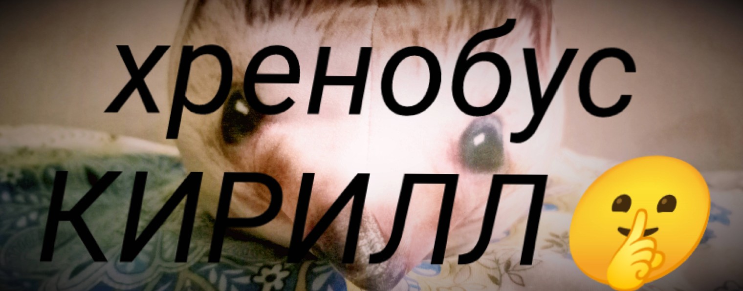 ХРЕНОБУС КИРИЛЛ 🤫
