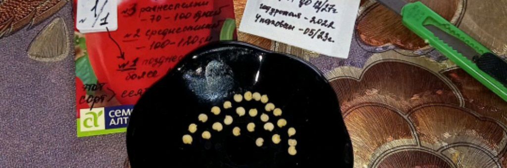 Жизнь на пенсии.