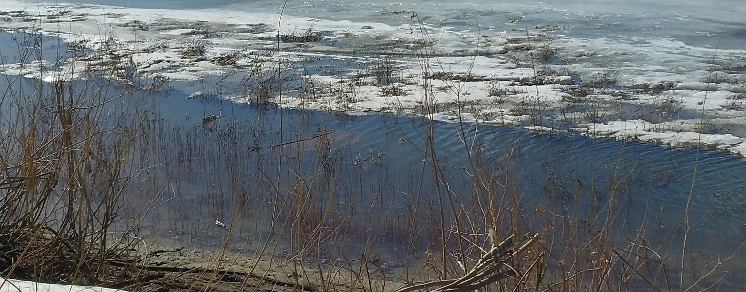 моя рыбалка