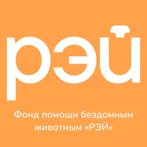 Фонд помощи бездомным животным «РЭЙ»