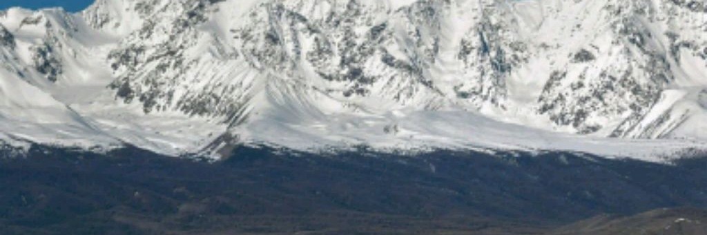 Автоэлектрик 04