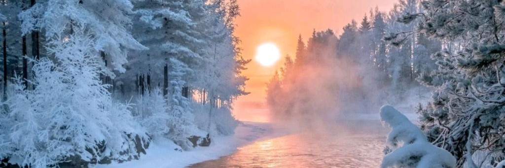 🍇{.РЕВЕККА ВИНОГРАДОВА.}🍇